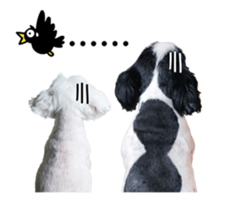 PIPI&PAPA sticker #14245088