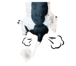 PIPI&PAPA sticker #14245089