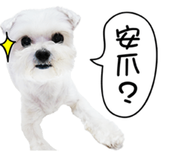 PIPI&PAPA sticker #14245094