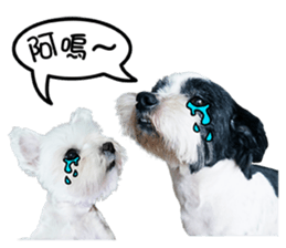 PIPI&PAPA sticker #14245095