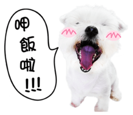 PIPI&PAPA sticker #14245097