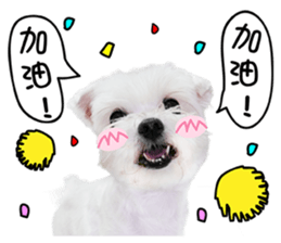 PIPI&PAPA sticker #14245099