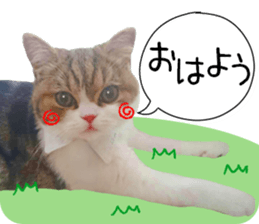 mugi325channel01 sticker #14245190