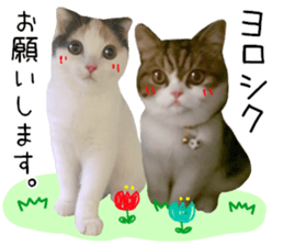 mugi325channel01 sticker #14245191