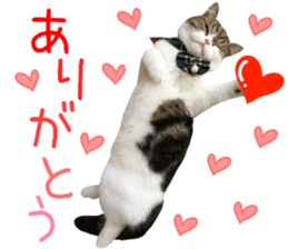 mugi325channel01 sticker #14245193