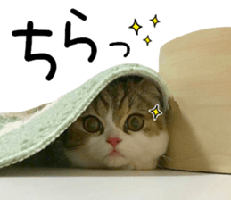 mugi325channel01 sticker #14245195