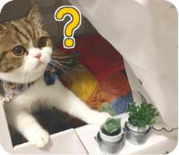 mugi325channel01 sticker #14245197