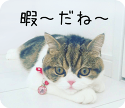 mugi325channel01 sticker #14245198