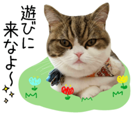 mugi325channel01 sticker #14245199