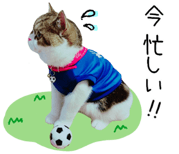 mugi325channel01 sticker #14245202