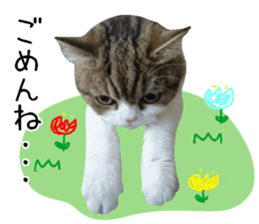 mugi325channel01 sticker #14245203