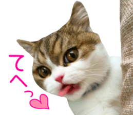 mugi325channel01 sticker #14245204