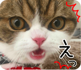 mugi325channel01 sticker #14245206