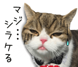 mugi325channel01 sticker #14245207