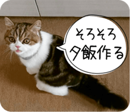 mugi325channel01 sticker #14245210