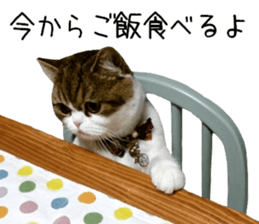 mugi325channel01 sticker #14245211