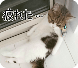 mugi325channel01 sticker #14245212