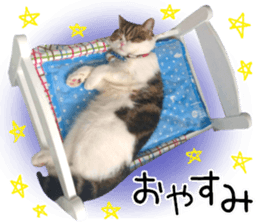 mugi325channel01 sticker #14245217