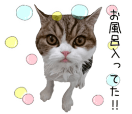 mugi325channel01 sticker #14245218