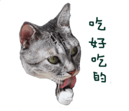 Happy Cat Friends sticker #14246269