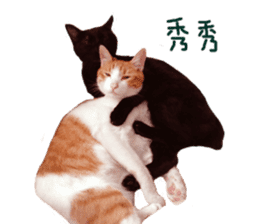 Happy Cat Friends sticker #14246292