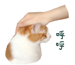 Happy Cat Friends sticker #14246300
