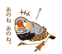 Daily Zebra Finch! sticker #14247710