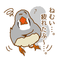 Daily Zebra Finch! sticker #14247720