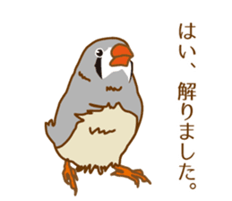 Daily Zebra Finch! sticker #14247721