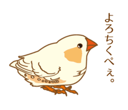 Daily Zebra Finch! sticker #14247729