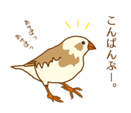 Daily Zebra Finch! sticker #14247730