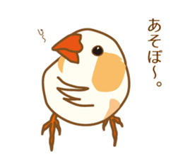 Daily Zebra Finch! sticker #14247732