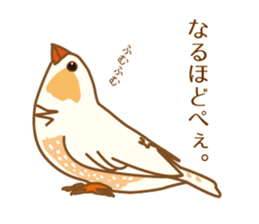 Daily Zebra Finch! sticker #14247733