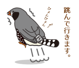 Daily Zebra Finch! sticker #14247736