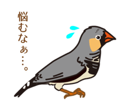 Daily Zebra Finch! sticker #14247741