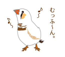 Daily Zebra Finch! sticker #14247745