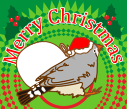 Daily Zebra Finch! sticker #14247748
