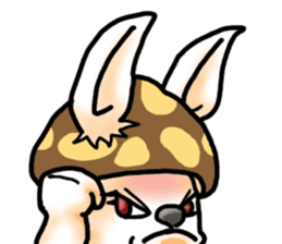 Mushroom-Rabbit sticker #14248040