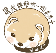 Ferrets with you sticker #14248119