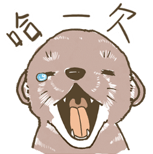 Ferrets with you sticker #14248122