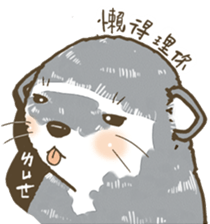 Ferrets with you sticker #14248123