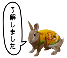 UTAN PET sticker #14248639