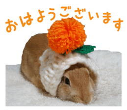 UTAN PET sticker #14248642