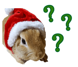 UTAN PET sticker #14248643