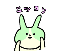 the Dutch rabbit2 sticker #14248918