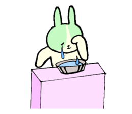 the Dutch rabbit2 sticker #14248940