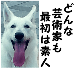 THE White Shepherd Dog! No,6 (P) sticker #14250279