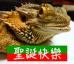 Happy Holidays! sticker #14251574