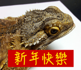 Happy Holidays! sticker #14251575