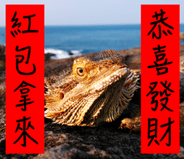 Happy Holidays! sticker #14251576